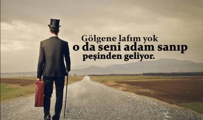 images (47).jpeg
