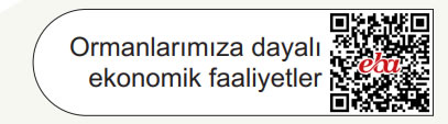 ormanlarıımıza dayalı ekonomik faaliyetler.jpg