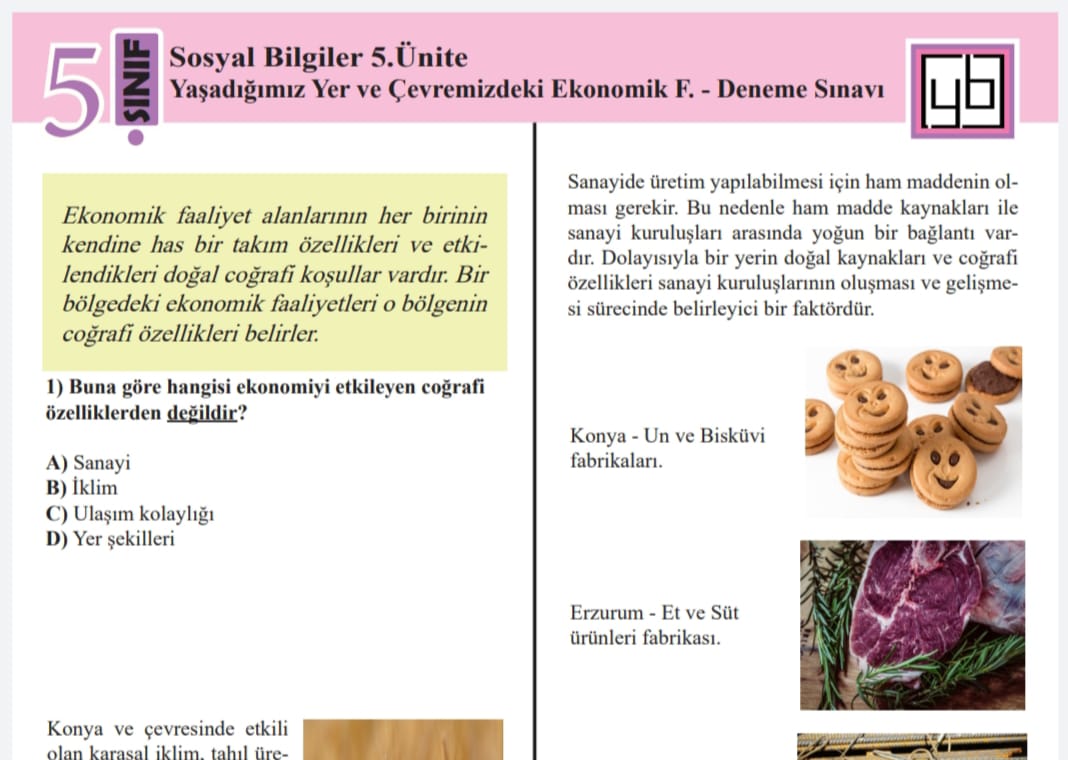 Örnek Sayfa Yaşadığımız Y..jpeg