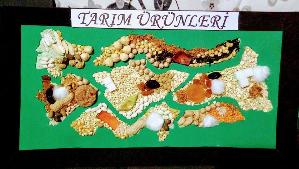 Tarım ürünleri haritası 3 D.jpg