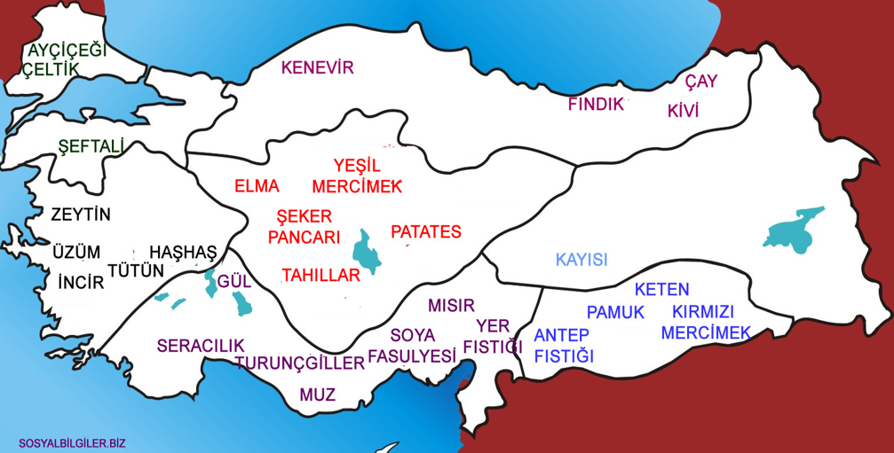 tarım ürünleri haritası.png