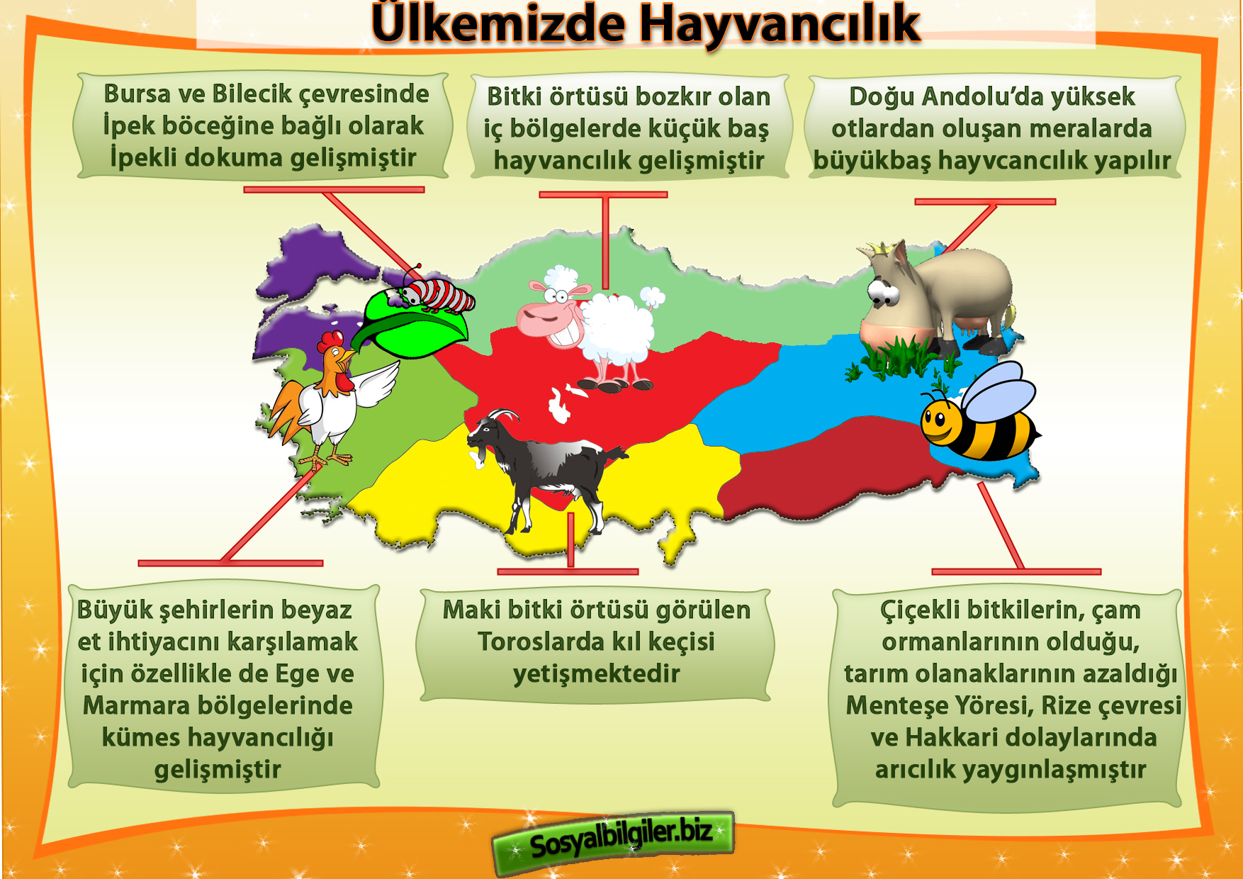 Ülkemizde Hayvancılık Pano Çalışması.jpg