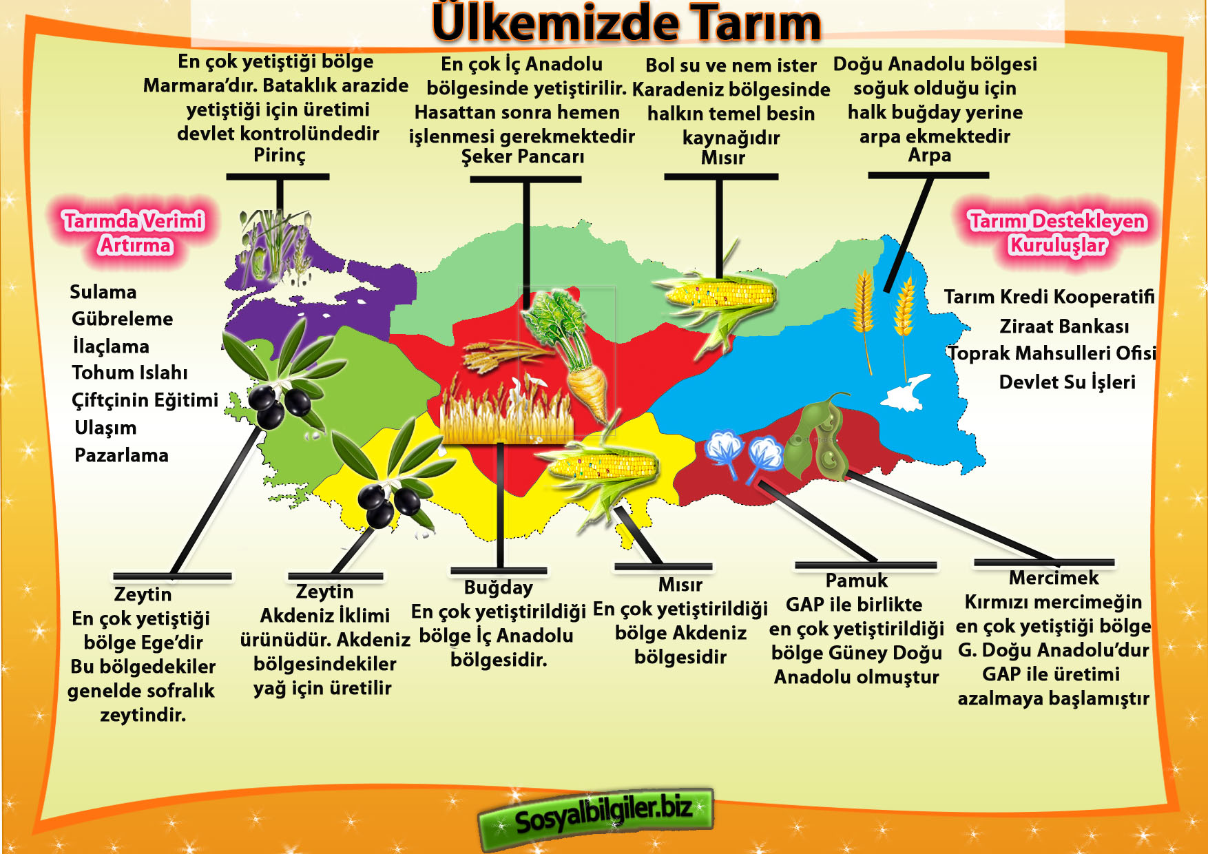 Ülkemizde Tarım kopya.jpg