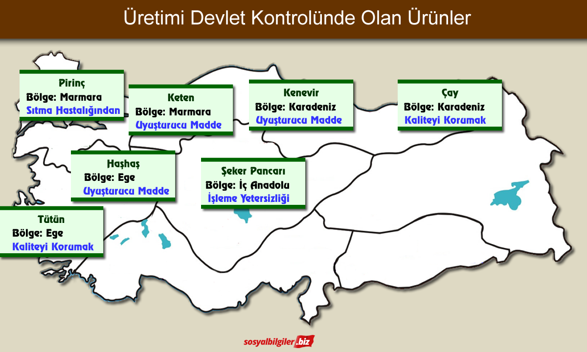 Üretimi Devlet Denetiminde Olan Ürünler.png