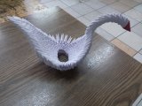 20141118_085251.jpg
