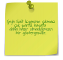 şeyhsat ve çokpartilidemokrasi.png