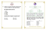 teog1sorular-5.jpg