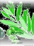 ZEYTYN_VE_OZELLYKLERY.jpg