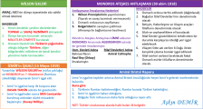 wilson mondros izmirin işgali (Copy).png