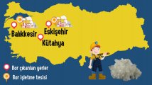 bor.jpg