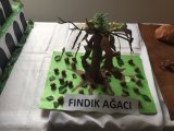 IMG_5647.JPG