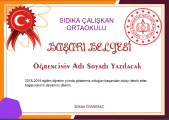 önizlemebaşarı.png