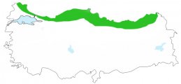 Karadeniz İklimi.jpg