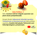 iskan1.png