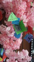 20201123_133726.jpg