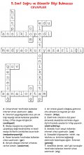 5.Sınıf Doğru ve Güvenilir Bilgi Bulmacası Cevapları.jpg