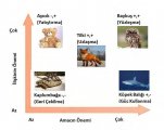 1a-Çatışma Stratejileri.jpg