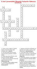 5.Sınıf Çevremizdeki Ekonomik Faaliyetler Bulmacası Cevapları.jpg