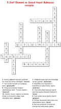 5.Sınıf Ekonomi ve Sosyal Hayat Bulmacası Cevapları.jpg
