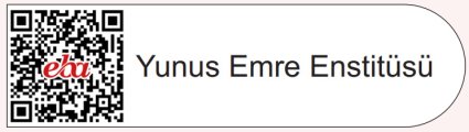 Yunus Emre Enstitüsü Tanıtım Videosu.jpg