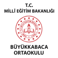 BÜYÜKKABACA LOGO.png