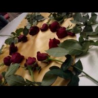 Haticehifadeniz