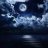Darkness of the night